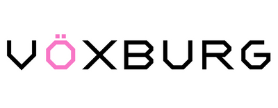 PC Turns On but No Display? Fix No Signal Issues | VÖXBURG